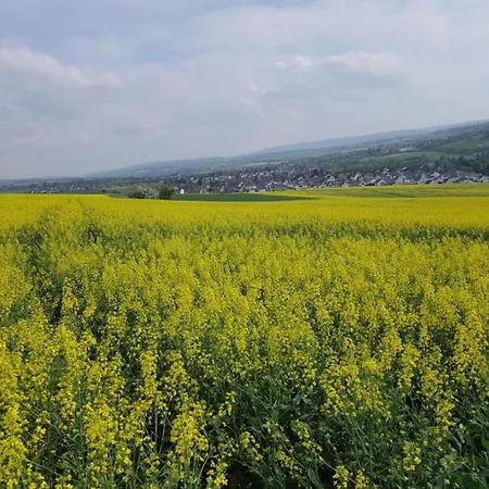 Maisonette In With Terrace Apartman *