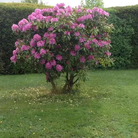 Maisonette In With Terrace